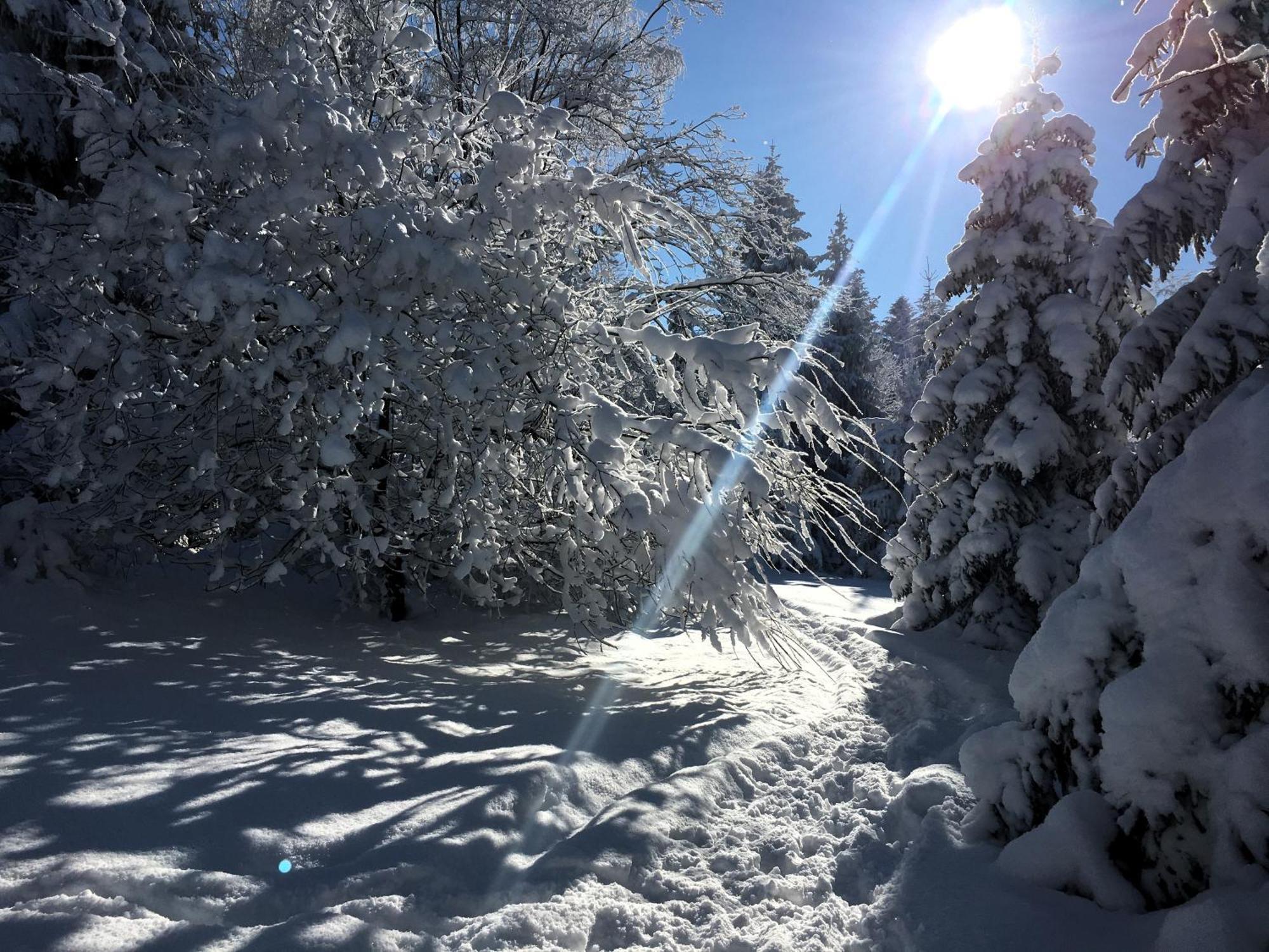 Willa Podgorska Korbielow Bagian luar foto